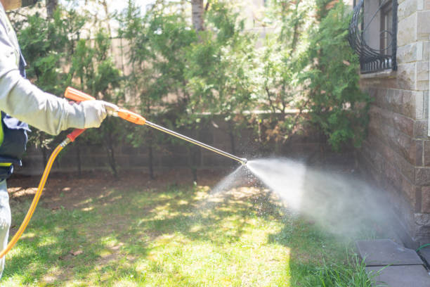 Wasp Removal Services in Mountain View Ranches, AZ